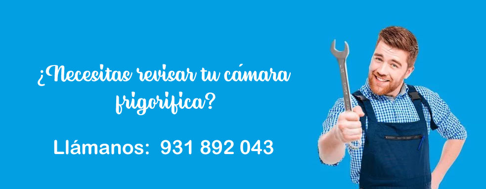 Beneficios de las Cámaras Frigoríficas